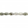 Labradorite goccia sfaccettata 6x9mm x 40cm