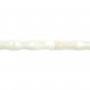 Madrepérola branca tubo de bambu 4x8mm x 39cm