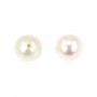 Freshwater Pearl half-drilled 7mm white x 10 pcs