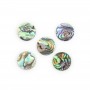 Cabochon Abalone rond plat 20mm x 1pc