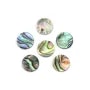 Cabochon Abalone rond plat 12mm x 1pc