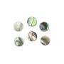 Cabochão de Abalone redondo plano 6mm x 1 peça