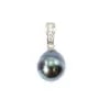 Pendente Pérolas do Tahiti com argola em Prata 925 10.5x13mm x 1 unid.