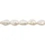 Freshwater cultured pearls, white, baroque, 13-14mm x 40cm