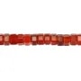```html
Agata rossa rondelle esagonale sfaccettata 3x6mm x 38cm
```