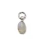 ```html
Breloque Labradorite oval facetado 4x6mm - Prata 925 rodiada x 1pc
```