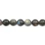 Labradorite Ronde 12mm x 40cm