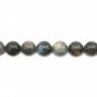 Labradorita redonda 12mm x 2 piezas