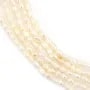 Perla d'acqua dolce ovale color salmone 1.5-2mm x 39cm