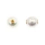 Japanese Akoya Cultured Pearl Pendant Round 8-8.5mm - Gold Filled x 1pc