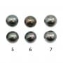 Perle de culture de Tahiti, semi-runde, 9.5-10mm x 2 Stück.