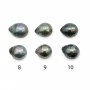 Tahitianische Perlen, Tropfenform, 11-12mm x 2 Stück
