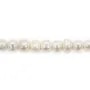 Perla di acqua dolce, bianca, semi-rotonda, 7-7.5mm x 39cm