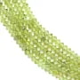 Peridoto rondelle abalorio facetado 2x3mm sur fil 39cm