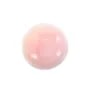 Cabochon Lambi rosa tondo 16mm x 1pz