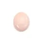 Oval pink Lambi shell cabochon 10x12mm x 1pc
