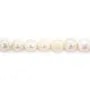 Freshwater cultured pearls, white, oval/irregular, 11-13mm x 37cm