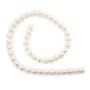 Freshwater cultured pearls, white, round, 8-9mm x 40cm