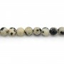 Jaspe Dalmata 3.5mm x 39cm