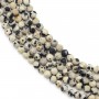 Giada Dalmata tonda sfaccettata 2mm x 40cm