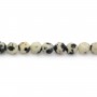 Jaspe Dalmatien rond facetté 2mm x 40cm