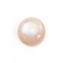 Cabochão de madrepérola rosa redondo 3mm x 2 peças