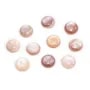 Cabochão de Madrepérola rosa redondo 12mm x 1 peça