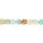 Amazonite multicolore fleur 6mm x 37cm