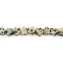 Jaspis Dalmatiner Stern 6mm x 37cm