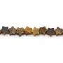 Ojo de Tigre estrella 6mm x 38cm