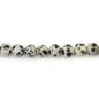 Jaspe Dalmatien rond 6mm x 38cm