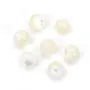 Nácar semi-perfurado redondo 5mm para criação de brincos