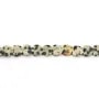Perla Corazón 6mm Jaspe Dálmata | Venta al por Mayor Joyería
