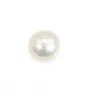 Perle de culture d'eau douce grande taille - Perle pour collier