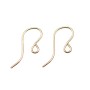 Crochets d'oreilles avec anneau Gold Filled 19mm