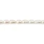 Perles de culture d'eau douce, blanche, olive, 6-7mm x 2pcs