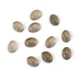 Quarz Rauch Cabochon 6x8mm | Großhändler Steine für Schmuck