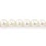 Perla de cultura de água doce semi-redonda 8mm | Colar de pérola natural