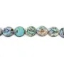 Abalone Mother of Pearl Bead | Natural Stone Bead