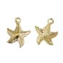 Starfish charm 10x12mm - Gold Filled x 1pc