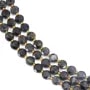 Cordierite (Iolite) flat round faceted 8mm x 38cm