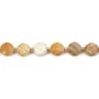 Round flat faceted fossilized coral 8mm x 38cm