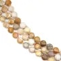 Round flat faceted fossilized coral 8mm x 38cm