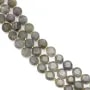Labradorite rotonda piatta sfaccettata 8mm x 38cm (41pz)