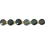 Diaspro Sanguigno (Eliotropio) piatto rotondo sfaccettato 8mm x 38cm (37 pezzi)
