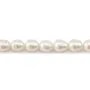 Pérolas de cultura de água doce, brancas, oliva, 9-10mm x 38cm