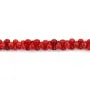Bambu do mar, tom vermelho, osso, 3x6mm x 40cm