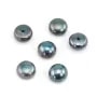Süßwasser-Zuchtperle, halb gebohrt, dunkelblau, Knopf, 7-7.5mm x 2 Stück