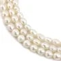 Perles de culture d'eau douce, blanche, olive, 6-7mm x 37cm