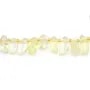 Quartz lemon elongated chips x 40cm approx 51pcs